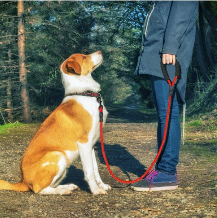 Reflective Dog Leash – Strong Nylon Rope Lead for Small, Medium & Large Dogs | Night Safety, Walking & Training